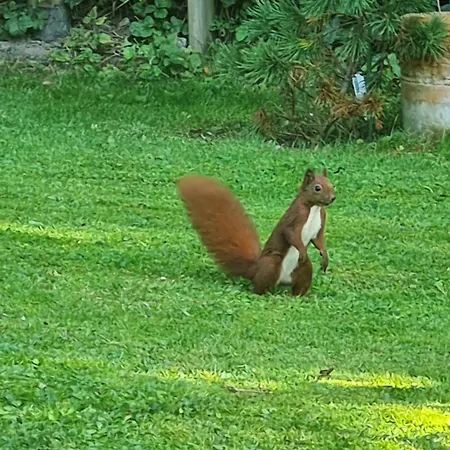 Ferienbucht Marina Apartament