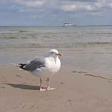 Apartament Ferienbucht Marina *