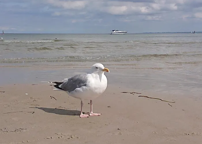 Appartamento Ferienbucht Marina *